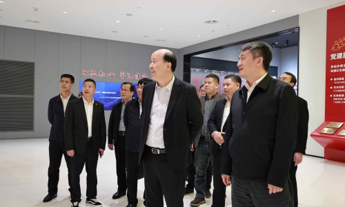 广西壮族自治区河池市委副书记、市长王军莅临fun乐天使官网调研